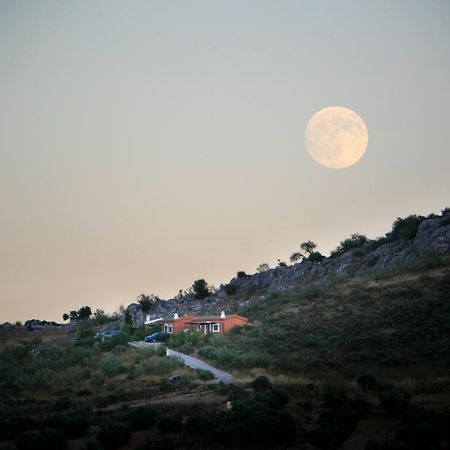 Cortijo Nuevo Alojamiento Rural Cuevas del Becerro ภายนอก รูปภาพ